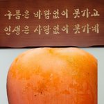 글을쓴다는 것에 대하여
