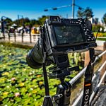 [국내여행] 나리공원 <b>수련</b>꽃