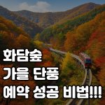 화담숲 가을<b>단풍</b> 예약성공비법