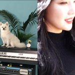 '크러쉬' 조이, 남자친구 반려견 <b>두유</b>가 배경화면?