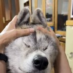 [<b>침착</b>하게] 공부해라 침차악하게