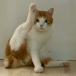 인사 <b>하자</b>