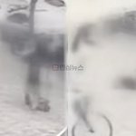 딸 지키려다 여중생 <b>전동</b>킥보드에 치여 의식불명된 엄마, 아이 이름...