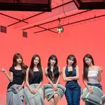 [모두드루와] 근데 르세라핌 망한거 맞아???