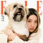 <b>반려동물</b>과 같이 찍은 건데 임시완만 왜 저래?