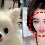 박봄, 반려견에 <b>립스틱</b> 바른 듯한 사진 공개…“이건 좀 위험하지...