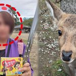 시짱, <b>사슴</b> 학대 운운하며 한국 비난했지만…日 네티즌 “근거부터...