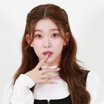 [단독]'운동 금지' 풀린 츠키, 기안84와 뛴다..프랑스로 떠난...