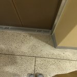 <b>피난</b>가는중ㅉ