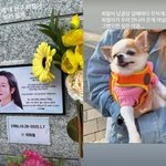 산다라박, 故이희철 생일에 납골당 찾았다.."내 친구, 사랑해"...