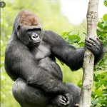 [테오시스] 결혼과 나