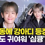 [영상] <b>백현</b>, '청담동 강아지 백�r'