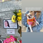 산다라박, 故 이희철 생일 맞아 납골당 찾았다 "갈 때마다 무지개...