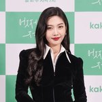 크러쉬 레드<b>벨벳</b> 조이, 활동 일시 중단…“치료와 안정 필요”[전문]