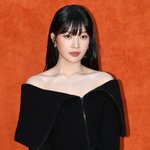 레드벨벳 조이, 컨디션 난조로 활동 <b>잠정</b> 중단…"치료와 안정 필요"