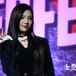 크러쉬 레드<b>벨벳</b> 조이 활동 중단…"치료와 안정 필요