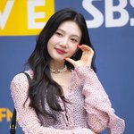 크러쉬 레드벨벳 조이, <b>SBS</b> 직원에 갑질 피해 파장.."반말과...