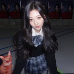 [드루와] 국어재능충 성적<b>변천사</b>