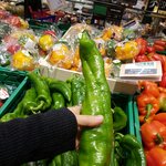 너네 이런 <b>거대</b> 고추 봣냐??