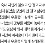 [댓글부탁해] 너네 나라면 <b>사반</b>수할거임?