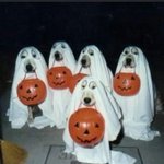 <b>Happy</b> halloween