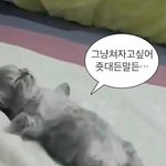 <b>자고</b>싶어