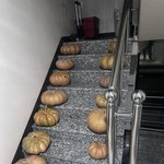 집주인이 할로윈데이라고 알려<b>주네</b>