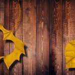 [좋은글] [좋은글] 이 가을엔 우리 <b>모두</b> 사랑을 하자