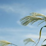 [좋은글] [좋은글] 사랑해서 좋은사람