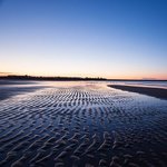 [좋은글] [좋은글] 내가 당신 몫까지 기억하겠습니다.