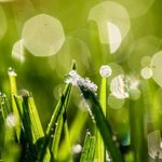 [좋은글] [좋은글] <b>믿음</b> 하나로 / 이소연