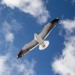 [좋은글] [좋은글] 마음에도 <b>군살</b>이 있다.