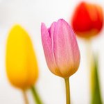 [좋은글] [좋은글] 너였으면 좋겠어 / 박명숙