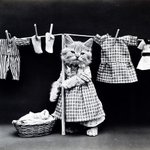 [좋은글] [좋은글] <b>외투</b>