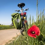 [좋은글] [좋은글] 오늘은 그냥 걷고 싶다