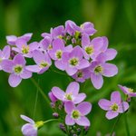 [좋은글] [좋은글] 9월의 <b>약속</b>