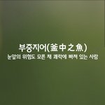 [좋은글] [좋은글] 부중지어ㅣ釜中之魚