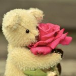 [좋은글] [좋은글] 기다림