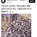 아프리카 <b>수단</b>기독교인들 대학살