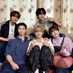 [추천선플만] <b>NCT</b> 비주얼 선호표