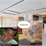 이게 내 <b>동생</b>이냐