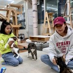 딸 로아와 '유기묘 카페' 데이트..선행까지 함께한 '<b>천사</b> 모녀'