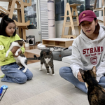 [모두드루와] '조윤희 딸' 로아, 클수록 아빠 이동건 판박이....