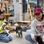 조윤희, 붕어빵 딸과 유기묘 입양 <b>독려</b> “평생 가족 기다리고 있어”
