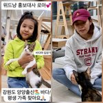 딸 로아와 ‘유기묘 가족 찾기’ 나섰다…이혼 후에도 따뜻한 <b>손길</b>