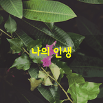 [좋은글] [좋은글] 사람은