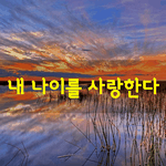 [좋은글] [좋은글] 내 <b>나이</b>를 사랑한다