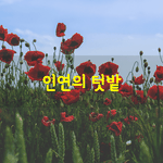 [좋은글] [좋은글] 인연의 <b>텃밭</b> / 원재선
