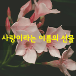 [좋은글] [좋은글] 사랑이라는 이름의 <b>선물</b>