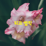 [좋은글] [좋은글]  되고 <b>법칙</b>